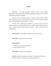 Probleminės situacijos analizės ataskaita 2 puslapis