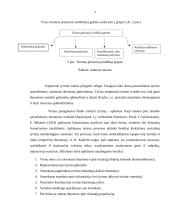 Probleminės situacijos analizės ataskaita 6 puslapis