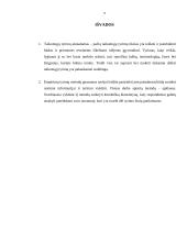 Probleminės situacijos analizės ataskaita 8 puslapis