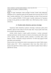 Skalda didmaišiuose gabenimo technologija  10 puslapis