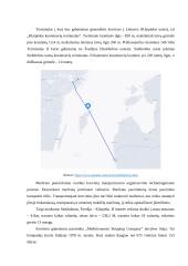 Skalda didmaišiuose gabenimo technologija  15 puslapis