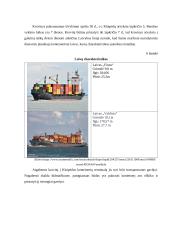 Skalda didmaišiuose gabenimo technologija  16 puslapis