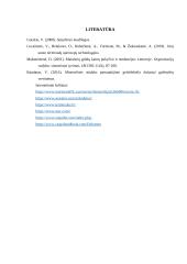 Skalda didmaišiuose gabenimo technologija  18 puslapis