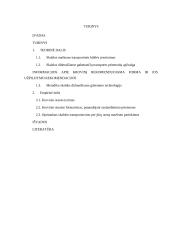 Skalda didmaišiuose gabenimo technologija  2 puslapis