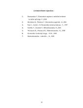 Ekonomikos augimo samprata ir prielaidos 9 puslapis