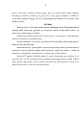 Ekonomikoje nagrinėjamos problemos ir tikslai 16 puslapis