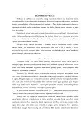 Ekonomikoje nagrinėjamos problemos ir tikslai 3 puslapis