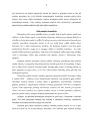 Ekonomikoje nagrinėjamos problemos ir tikslai 8 puslapis