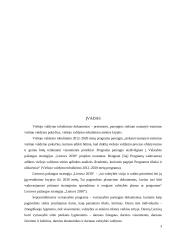 Piliečių dalyvavimo viešajame valdyme principų raiškos viešojo valdymo tobulinimo dokumentuose vertinimas 2 puslapis