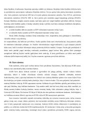 Ekonominė ir pinigų sąjunga 11 puslapis