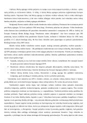 Ekonominė ir pinigų sąjunga 13 puslapis