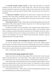 Ekonominė ir pinigų sąjunga 17 puslapis