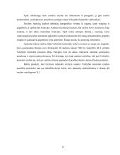 Ekonominė kontrolė tarpukario Lietuvoje 13 puslapis