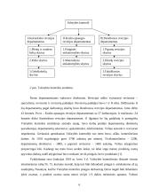 Ekonominė kontrolė tarpukario Lietuvoje 6 puslapis