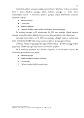 Ekonominės gamtosaugos problemos 13 puslapis