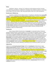 Hamleto draugai - Rozenkrancas ir Gildensternas 