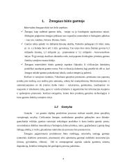 Ekonominio augimo pasekmės ekologijai 4 puslapis