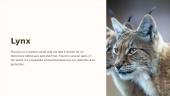 Lynx presentation