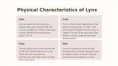 Lynx presentation 4 puslapis