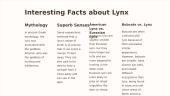 Lynx presentation 7 puslapis