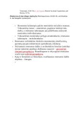 Renesanso architektūra Italijoje 3 puslapis