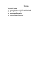 Ekonominis augimas 2 puslapis