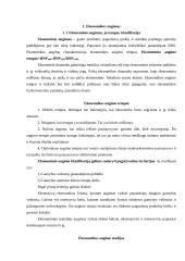 Ekonominis augimas 3 puslapis