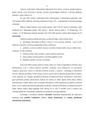 Ekonominių rodiklių statistinė analizė 12 puslapis