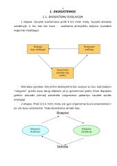 Ekosistemos 3 puslapis