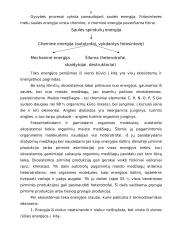 Ekosistemos 5 puslapis