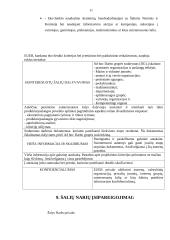 Ekoženklinimas 11 puslapis