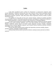 Ekspertiniai personalo įvertinimo metodai 3 puslapis