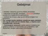 Kaip padidinti savo psichologinį atsparumą? 11 puslapis