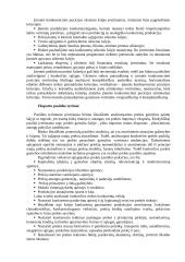 Tarptautinis eksportas  11 puslapis