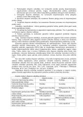 Tarptautinis eksportas  4 puslapis