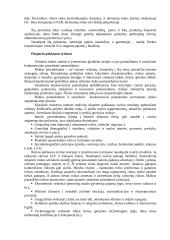 Tarptautinis eksportas  8 puslapis