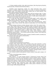 Tarptautinis eksportas  9 puslapis