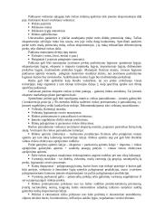 Tarptautinis eksportas  10 puslapis