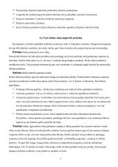 Eksporto analizės modeliai 6 puslapis