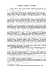 Eksporto strategijos parengimas