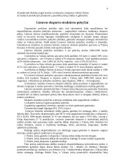 Eksporto strategijos parengimas 2 puslapis