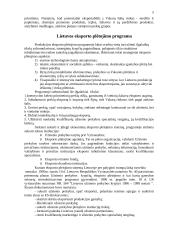 Eksporto strategijos parengimas 3 puslapis