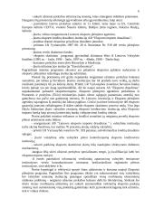 Eksporto strategijos parengimas 4 puslapis