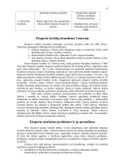 Eksporto strategijos parengimas 6 puslapis