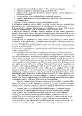 Eksporto strategijos parengimas 7 puslapis