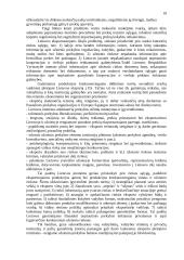 Eksporto strategijos parengimas 8 puslapis