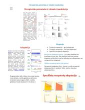 Neuromokslai 14 puslapis