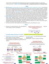 Neuromokslai 6 puslapis