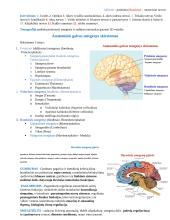 Neuromokslai 9 puslapis