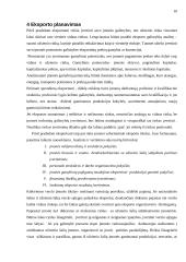 Eksporto valdymas 11 puslapis